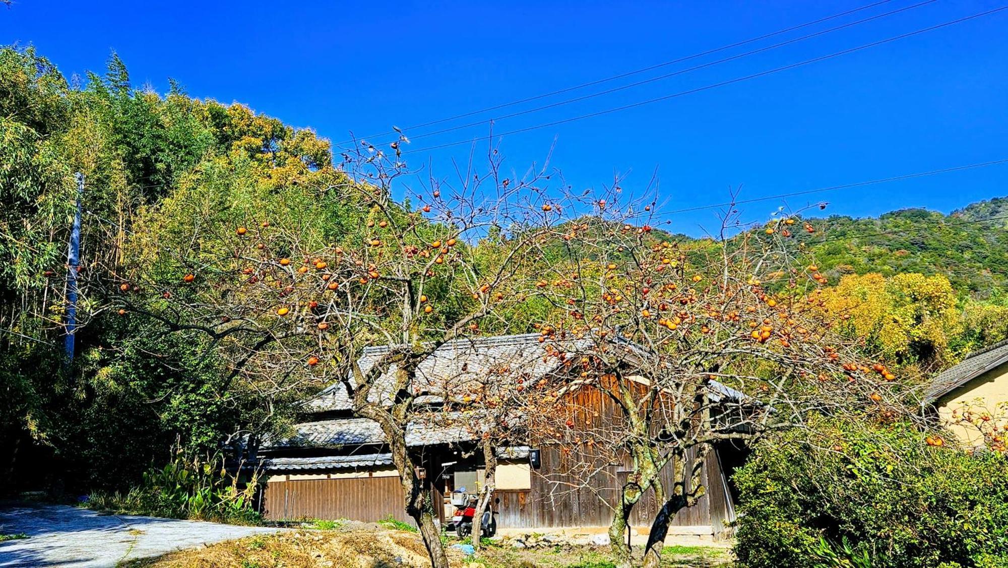 Gesthaus Take 亭 Hotel Marugame Exterior photo